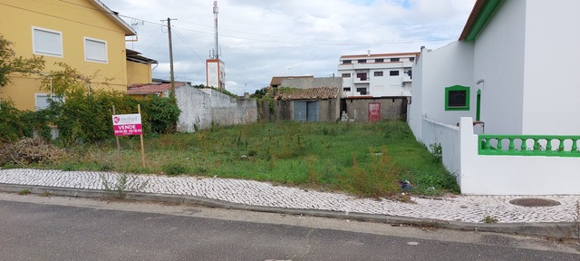Terreno R�stico - Vieira de Leiria, Marinha Grande, Leiria - Imagem grande