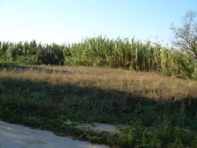 Terreno Urbano - Souto da Carpalhosa, Leiria, Leiria - Imagem grande