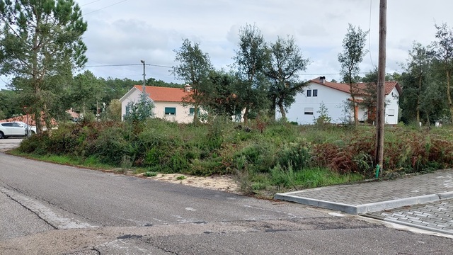 Terreno Rstico - Monte Real, Leiria, Leiria - Imagem grande