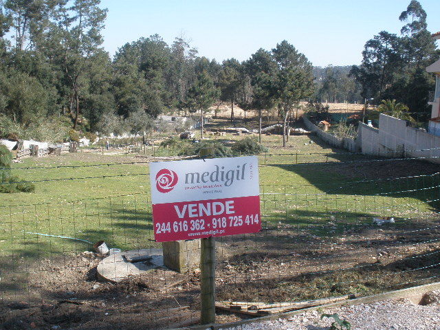 Terreno Rstico - Monte Real, Leiria, Leiria - Imagem grande