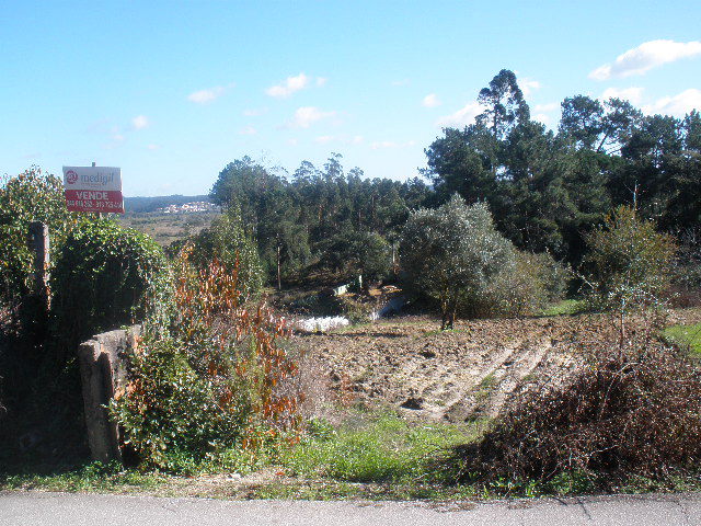 Terreno Urbano - Monte Real, Leiria, Leiria - Imagem grande