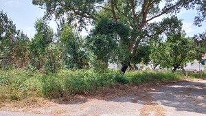 Terreno Urbano - Monte Real, Leiria, Leiria