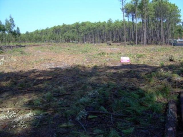 Terreno Urbano - Carvide, Leiria, Leiria - Imagem grande