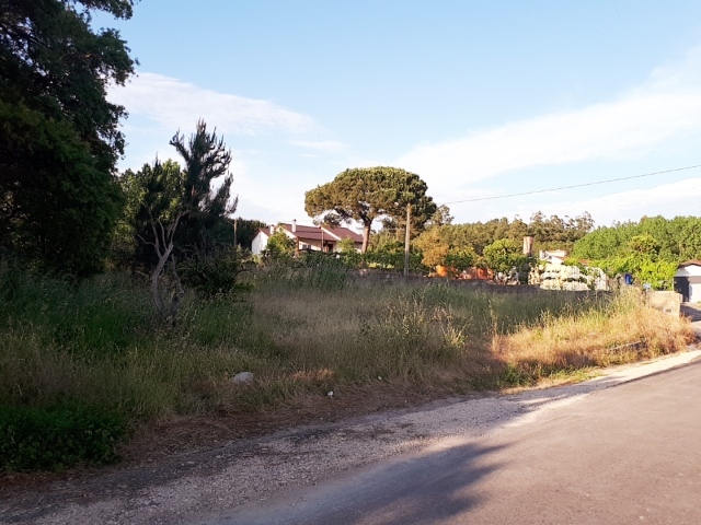 Terreno Rstico - Souto da Carpalhosa, Leiria, Leiria - Imagem grande