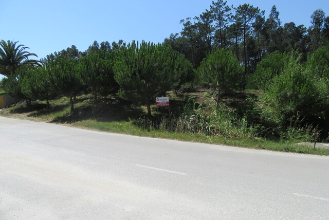 Terreno R�stico - Monte Real, Leiria, Leiria - Imagem grande