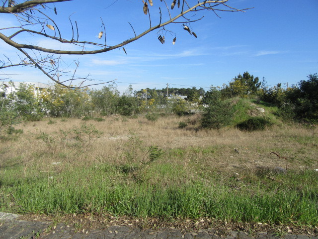 Terreno Urbano - Vieira de Leiria, Marinha Grande, Leiria - Imagem grande