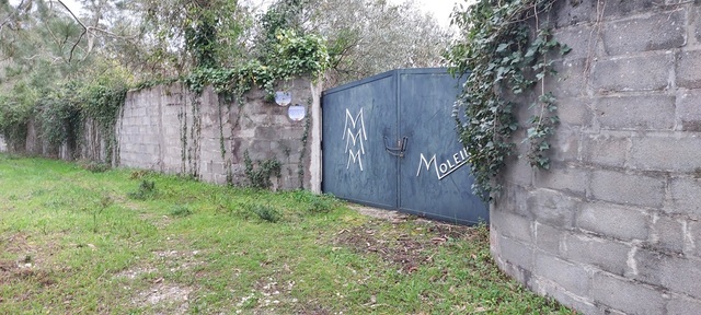 Terreno R�stico - Carvide, Leiria, Leiria - Imagem grande