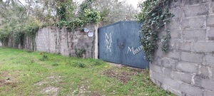 Terreno R�stico - Carvide, Leiria, Leiria