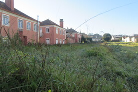 Terreno R�stico - Monte Real, Leiria, Leiria - Miniatura: 2/2