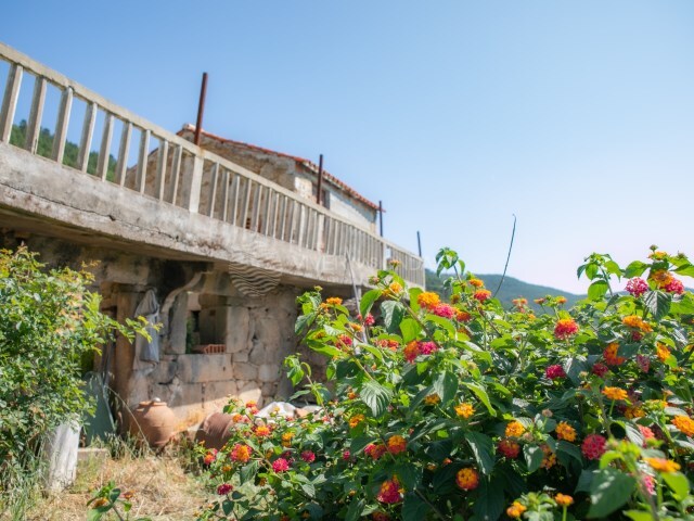 Terreno Rústico - Vale de Prazeres, Fundão, Castelo Branco - Imagem grande