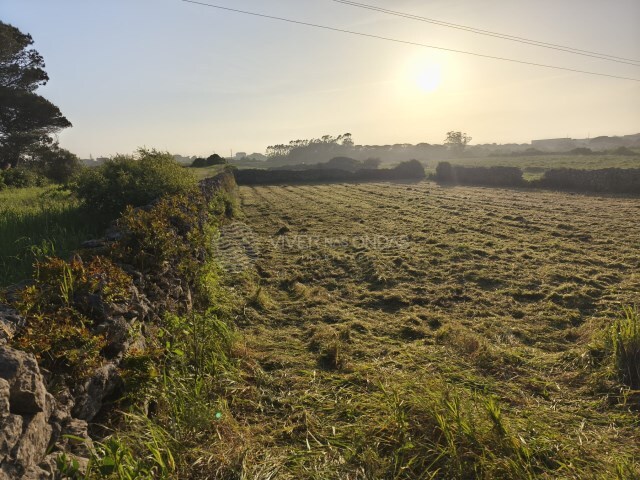 Terreno R�stico - S�o Jo�o das Lampas, Sintra, Lisboa - Imagem grande
