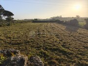 Terreno R�stico - S�o Jo�o das Lampas, Sintra, Lisboa - Miniatura: 1/6