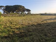 Terreno R�stico - S�o Jo�o das Lampas, Sintra, Lisboa - Miniatura: 2/6
