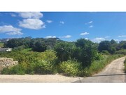 Terreno R�stico - S�o Jo�o das Lampas, Sintra, Lisboa - Miniatura: 5/6