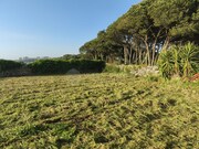 Terreno R�stico - S�o Jo�o das Lampas, Sintra, Lisboa - Miniatura: 6/6