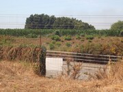 Terreno Urbano - Arvore, Vila do Conde, Porto - Miniatura: 8/9