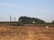 Terreno Urbano - Arvore, Vila do Conde, Porto - Miniatura: 9/9