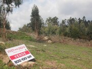 Terreno R�stico - N�o Definido, Santo Tirso, Porto - Miniatura: 3/9