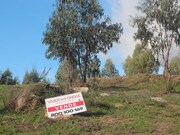 Terreno R�stico - N�o Definido, Santo Tirso, Porto - Miniatura: 4/9
