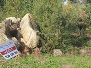 Terreno R�stico - N�o Definido, Santo Tirso, Porto - Miniatura: 8/9