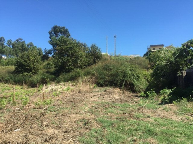 Terreno Urbano - Telões, Amarante, Porto - Imagem grande