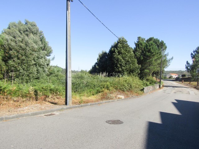 Terreno R�stico - Sandim, Vila Nova de Gaia, Porto - Imagem grande