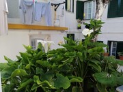 Moradia > T6 - Costa da Caparica, Almada, Setbal - Miniatura: 2/9