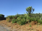 Terreno R�stico - Sandim, Vila Nova de Gaia, Porto - Miniatura: 3/9