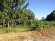 Terreno R�stico - Sandim, Vila Nova de Gaia, Porto - Miniatura: 4/9