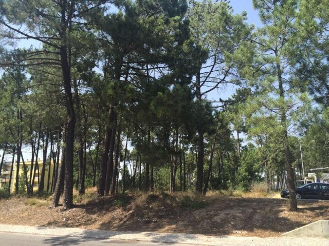 Terreno Urbano - Azeitão, Setúbal, Setúbal - Imagem grande