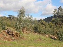Terreno Urbano - N�o Definido, Santo Tirso, Porto