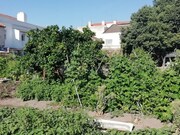 Terreno Urbano - Setbal, Setbal, Setbal - Miniatura: 6/9