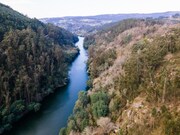 Terreno Urbano - Rio de Moinhos, Penafiel, Porto