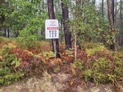 Terreno R�stico - Cernache do Bonjardim, Sert�, Castelo Branco
