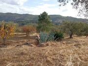 Quinta - Barcos, Tabua�o, Viseu - Miniatura: 2/9