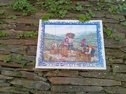 Quinta - Barcos, Tabua�o, Viseu - Miniatura: 8/9