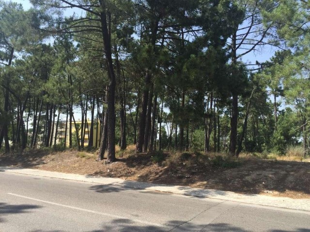 Terreno Urbano - Azeitão, Setúbal, Setúbal - Imagem grande