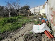 Terreno Urbano - Charneca da Caparica, Almada, Set�bal - Miniatura: 3/7