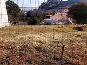 Outros - Pedroso, Vila Nova de Gaia, Porto - Miniatura: 3/9