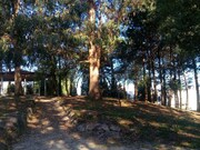 Outros - Pedroso, Vila Nova de Gaia, Porto - Miniatura: 6/9