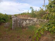Quinta - Barcos, Tabua�o, Viseu - Miniatura: 3/9