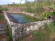 Quinta - Barcos, Tabua�o, Viseu - Miniatura: 4/9