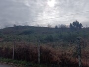 Terreno R�stico - Aves, Santo Tirso, Porto - Miniatura: 5/9