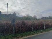 Terreno R�stico - Aves, Santo Tirso, Porto - Miniatura: 6/9