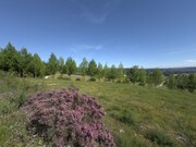 Terreno Urbano - Cernadelo, Lousada, Porto - Miniatura: 8/9