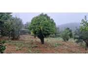 Moradia T2 - Cernache do Bonjardim, Sert, Castelo Branco - Miniatura: 8/9