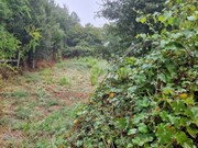 Moradia T2 - Cernache do Bonjardim, Sert�, Castelo Branco - Miniatura: 1/8