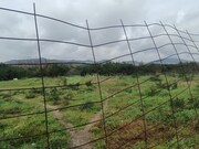 Terreno R�stico - Aves, Santo Tirso, Porto - Miniatura: 7/9