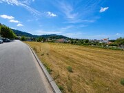 Terreno R�stico - Rebord�es, Santo Tirso, Porto - Miniatura: 3/7