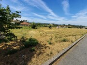 Terreno R�stico - Rebord�es, Santo Tirso, Porto - Miniatura: 4/7